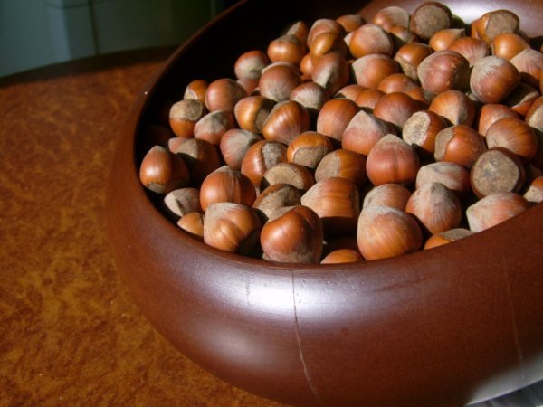 Hazelnut Inshell