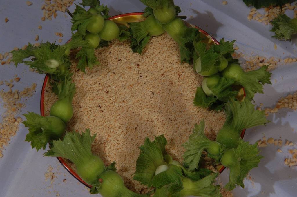 Roasted hazelnut meal