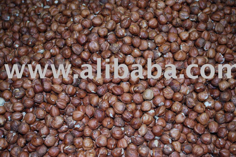 Georgian Hazelnut