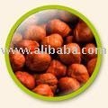 Out of shell Hazelnut