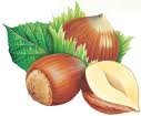 ORGANIC HAZELNUT