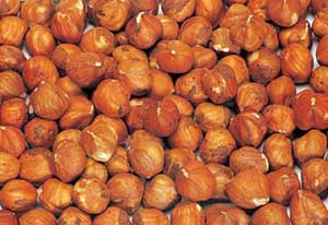 Natural Hazelnut