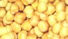 BLANCHED HAZELNUT, 13/15mm, 11/13mm, 9/11mm