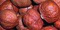 turkish hazelnuts