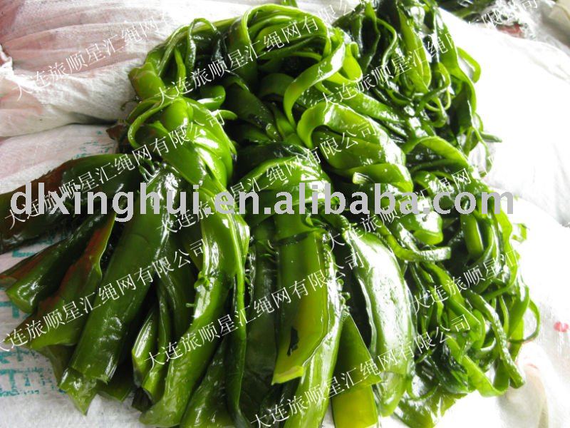 excellenttde seaweed