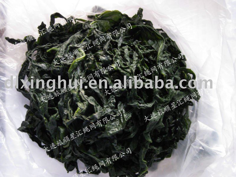 frozen salty seaweeds,China xinghui price supplier - 21food