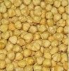 Hazelnuts Roasted
