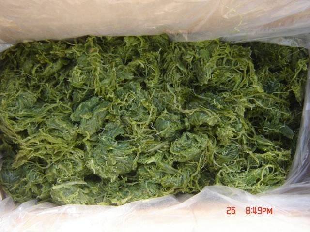 salted strip of wakame
