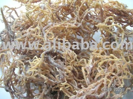 Seaweed