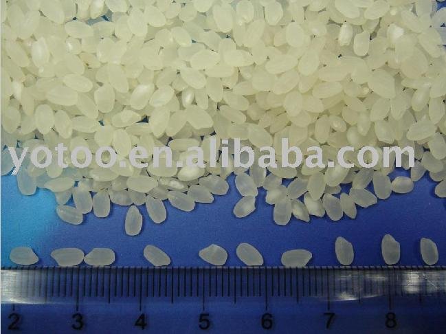 Heilongjiang Rice