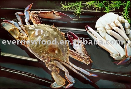 frozen swimming crab
