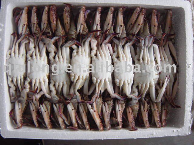 crab