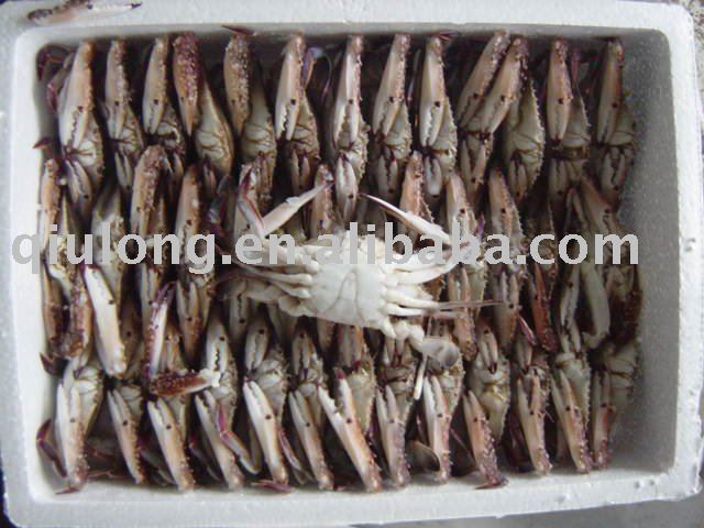 frozen seafood