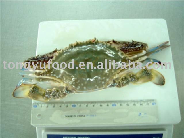 whole frozen crab