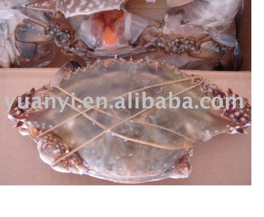 Frozen  Swimming Crab