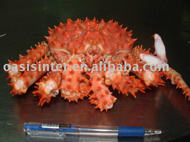 king crab