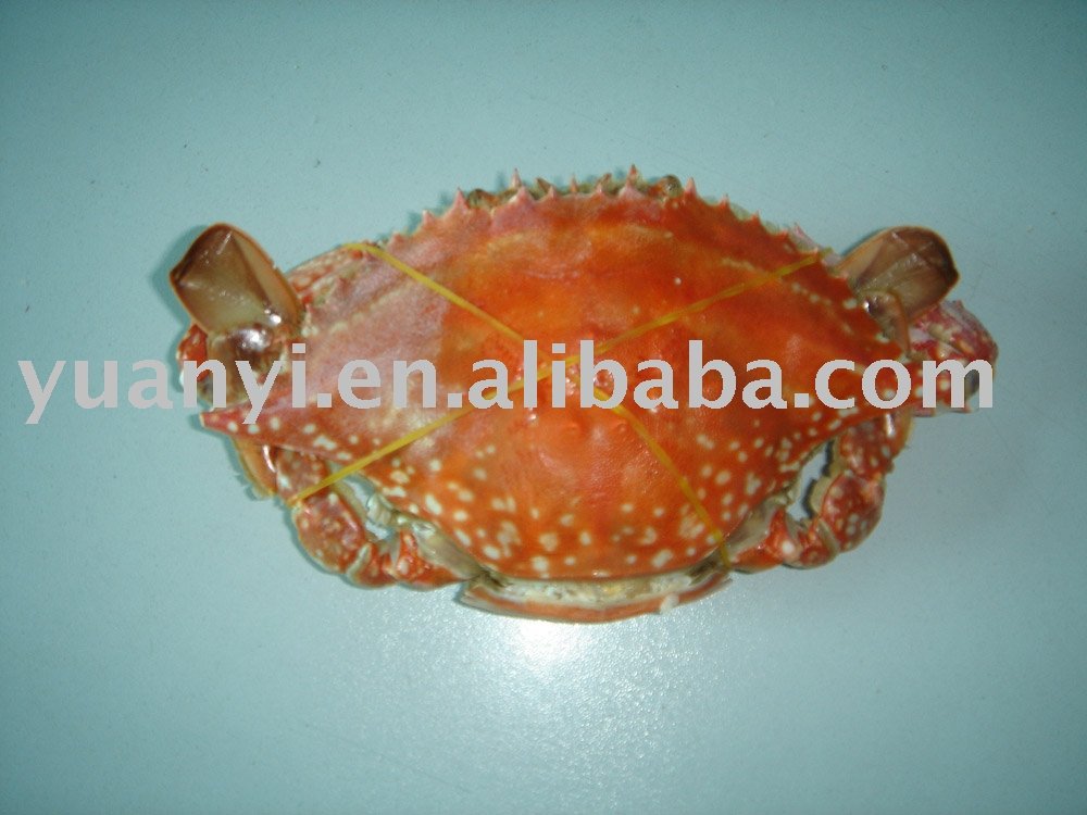 Frozen Boiled Swimming Crab