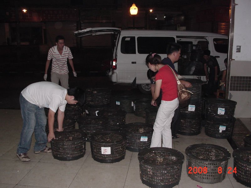Sea Food Import