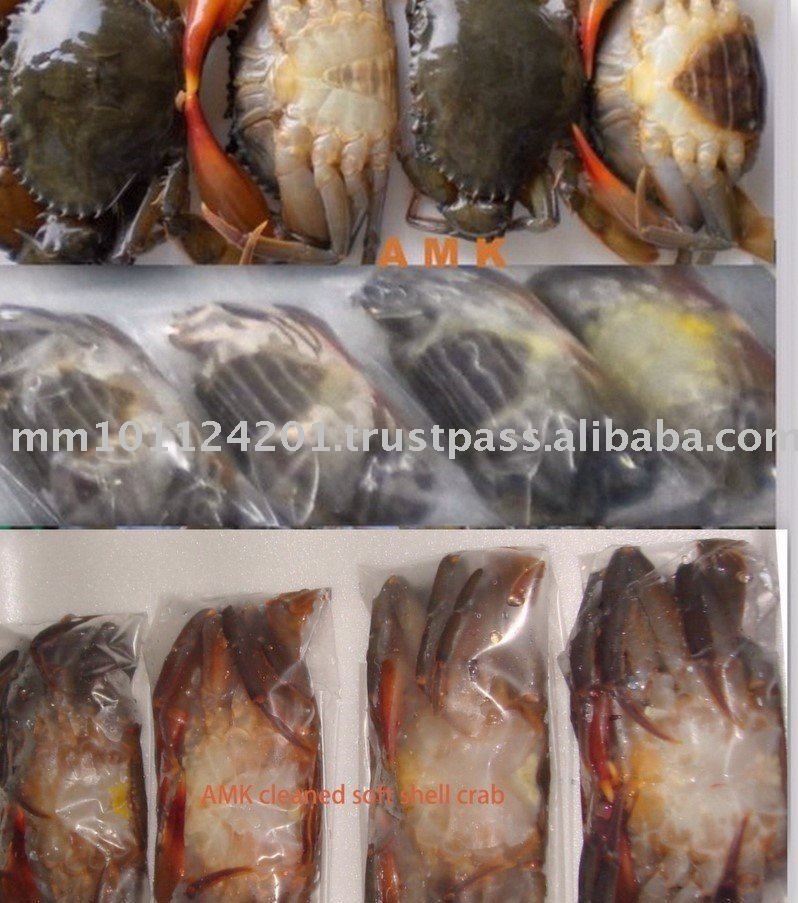 Soft Shell Crab (HACCP, frozen seafood)