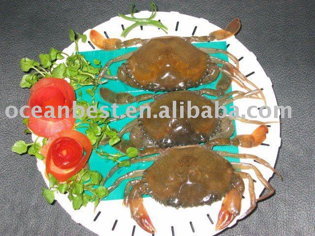 Soft shell Crab