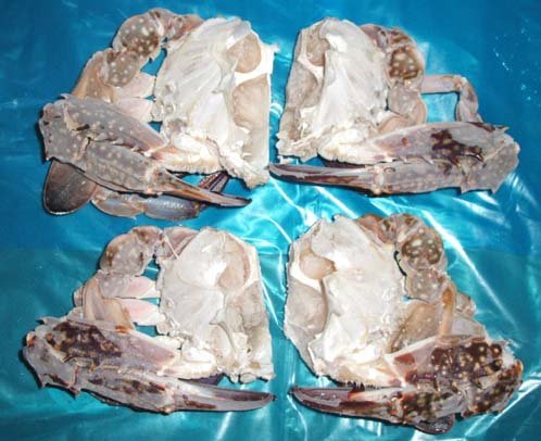 Frozen Cut Crab