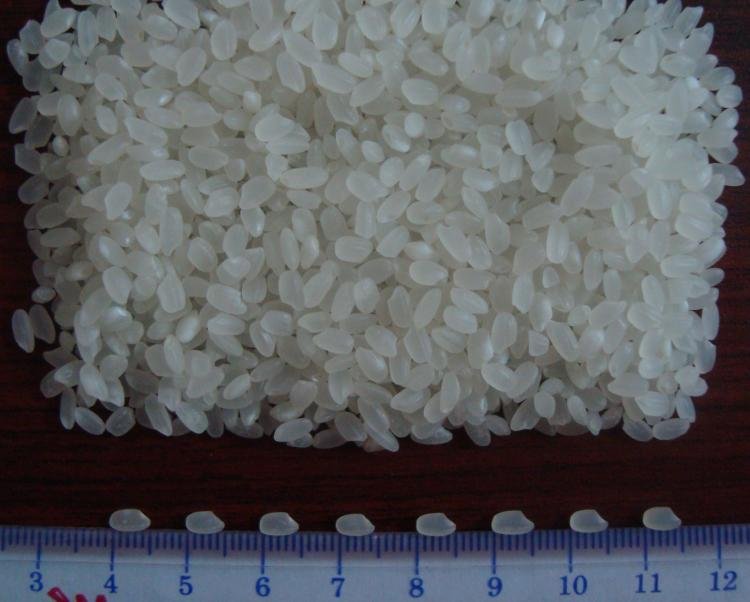 Vietnamese Long white rice 10% broken - high quality and competitive price