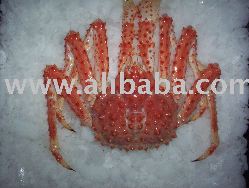 Whole  king   crab 