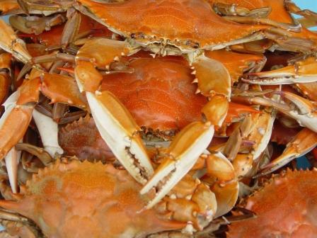 CRUSTACEANS Crabs