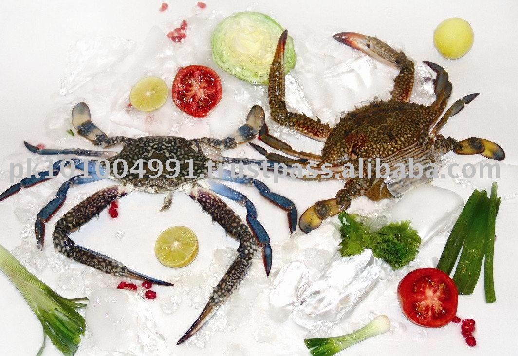 Blue Swimming Crab,
