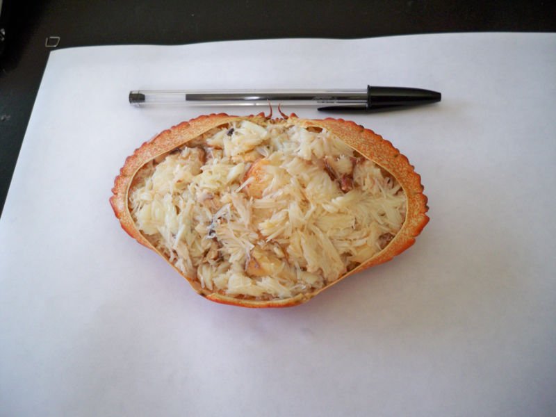 Crab Meat In Shell Pasteurized Products Chile Crab Meat In Shell Pasteurized Supplier