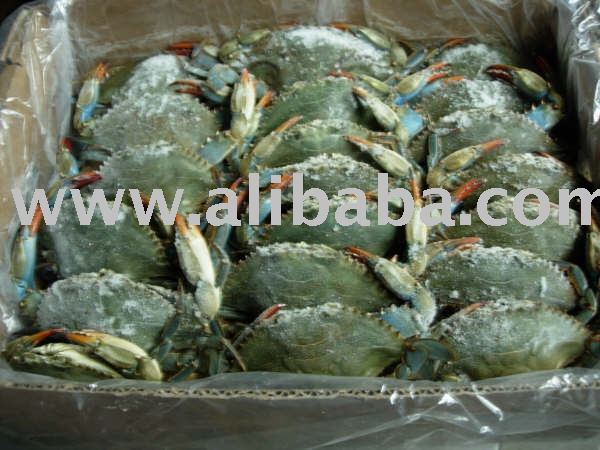 Frozen WR  Blue Crab (callinectes sapidus)  from USA