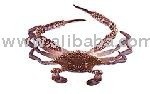  SEA   CRAB 