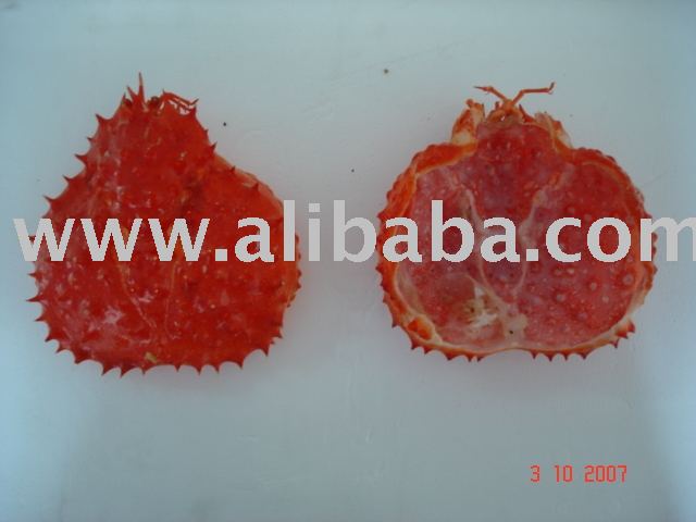 King Crab Shells