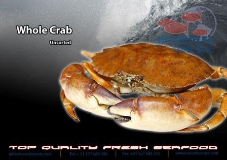 Crabs