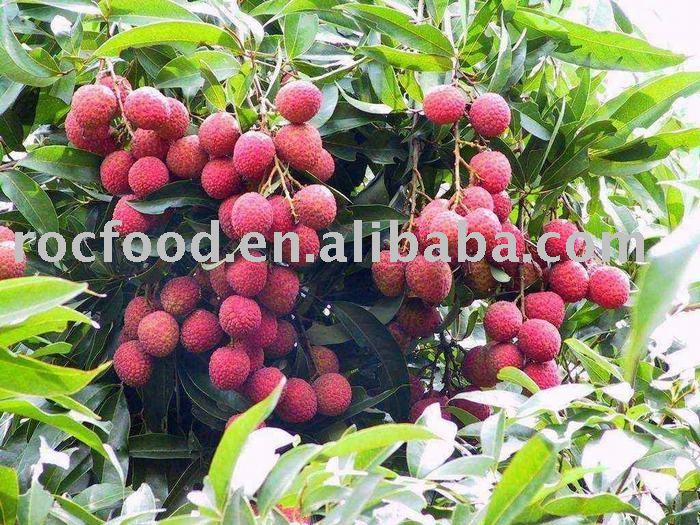 Fresh Lychee