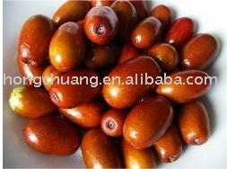 shrub fruit