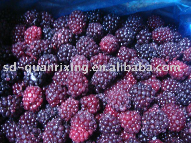IQF BLACKBERRY