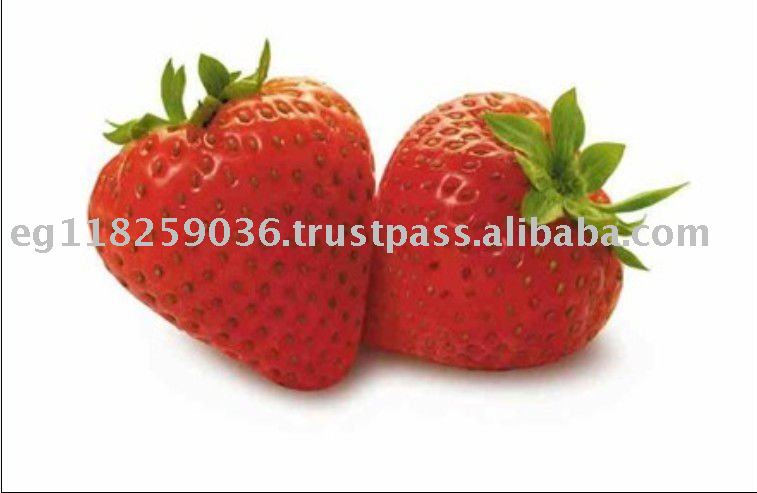 ARKANZA Strawberry Fresh Fruit