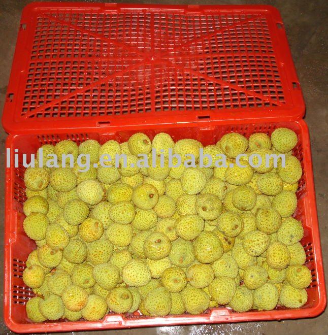 Chinese fresh Litchi fruit