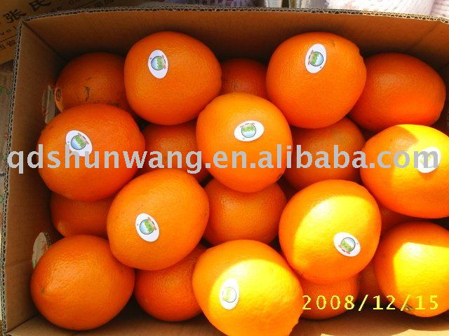 FRESH NAVEL ORANGE