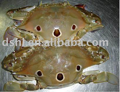  Frozen    Whole   Crab 