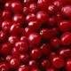 Frozen Lingonberry