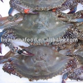 Frozen blue crab