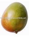 Sindhri Mango