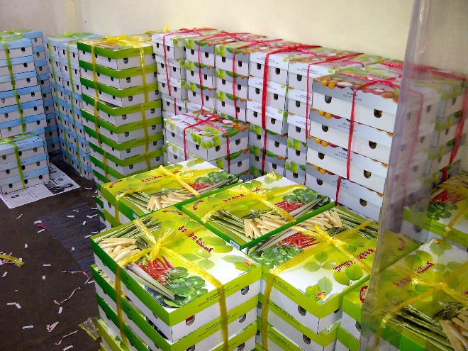 Package for Fruits