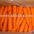 fresh carrot