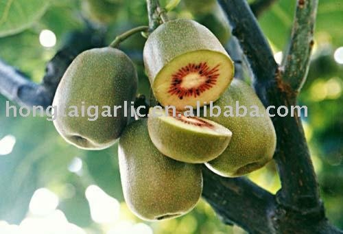 red kiwifruit