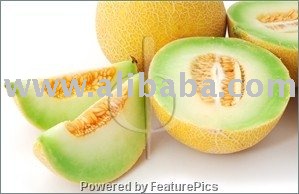  Fresh   Cantaloupe 