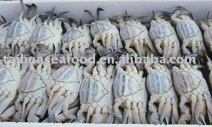 Whole Frozen Swimming Crab