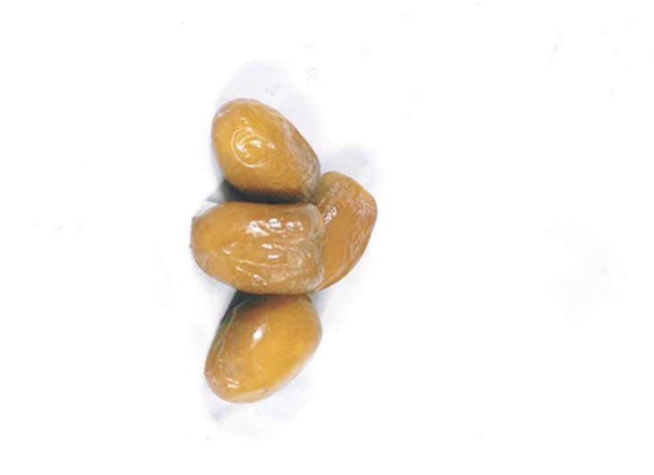 Fresh Libyan Dates